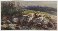TvB T 442
<br/>
Bergbeek
<br/>
<em>Huysmans, Constantinus Cornelis (1810-1886)</em>